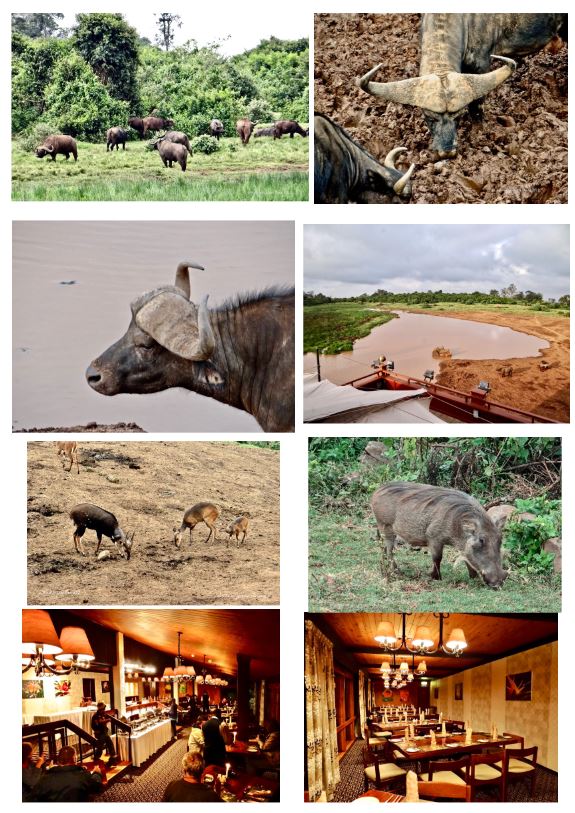 Tourists observing wildlife from a safari vehicle in Maasai Mara.