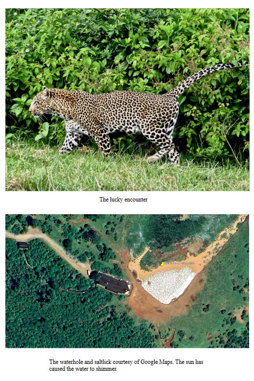 Hippos in Lake Naivasha with distant mountains in the background