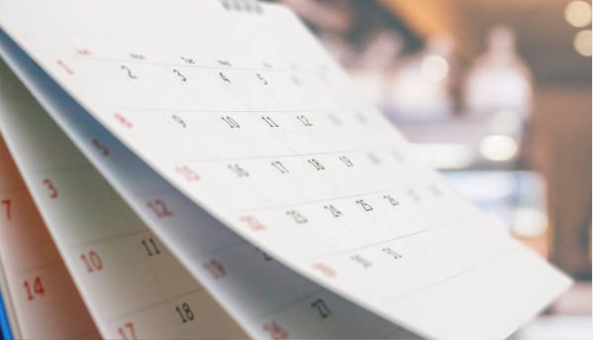 public and bank holidays for the year 2025-eLanka