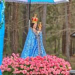 Photos of Madhu Feast 2024 at Penrose Park, NSW - Photos Thanks to Roy Grafix