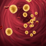 blood  cholesterol,