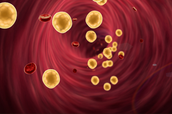 blood  cholesterol,