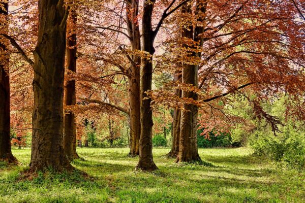 national parks-eLanka
