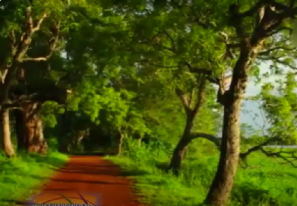 Devastating Impact of Development on Sri Lanka-eLanka