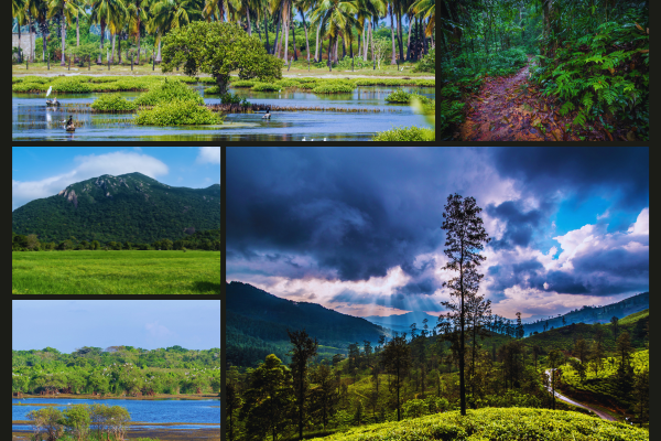 Hidden Gems for Eco-Tourism in Sri Lanka Discovering Nature’s Serenity - By Malsha - eLanka