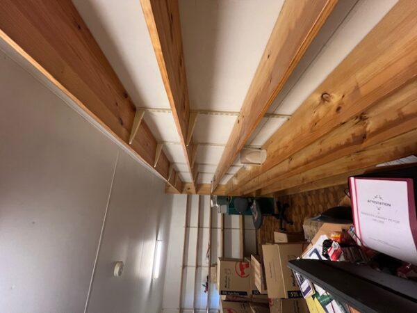 PAGES WORTH PRESERVING - By Beverley Pinder OAM - eLanka (1)