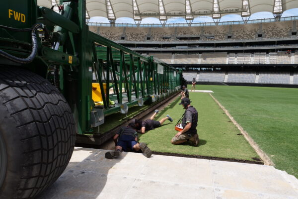 Perth is prepared for a sensational summer of cricket, with the wicket installed at Perth Stadium ahead of the upcoming NRMA Insurance West Test, Australia v Pakistan ODI, and KFC BBL|14.