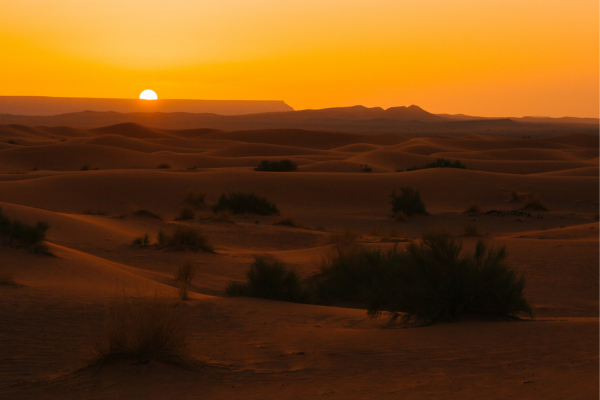 Sahara Desert