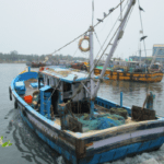 Asylum boat’s