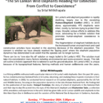 CEYLON SOCIETY OF AUSTRALIA MELBOURNE CHAPTER - Sunday, 1st December 2024, 5.00pm ( MELBOURNE Event )