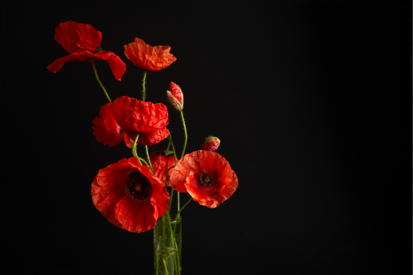 Remembrance