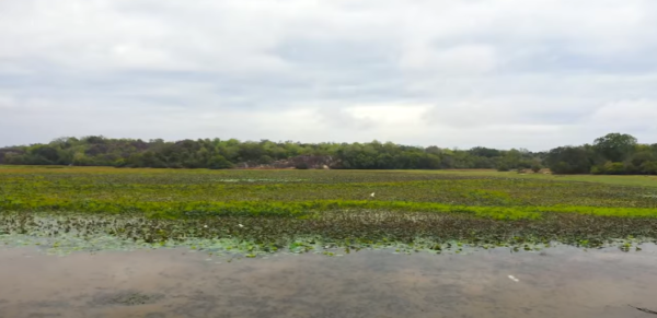 Searching for Sri Lanka’s Majestic Leopards with Dr. Scott-eLanka