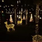 Christmas in Colombo - 2024