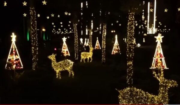 Christmas in Colombo - 2024