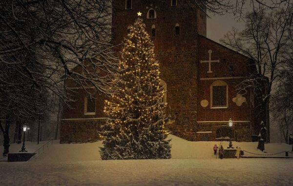 The History of Christmas Trees: From Pagan Roots to Modern Decor - By Malsha - eLanka