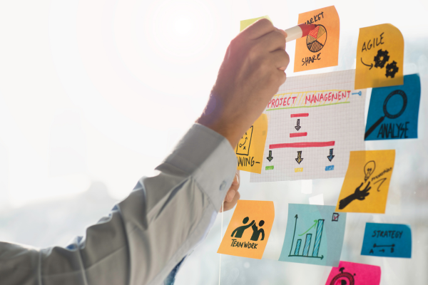 career in project management