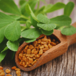 Health Benefits of Fenugreek - By Malsha - eLanka