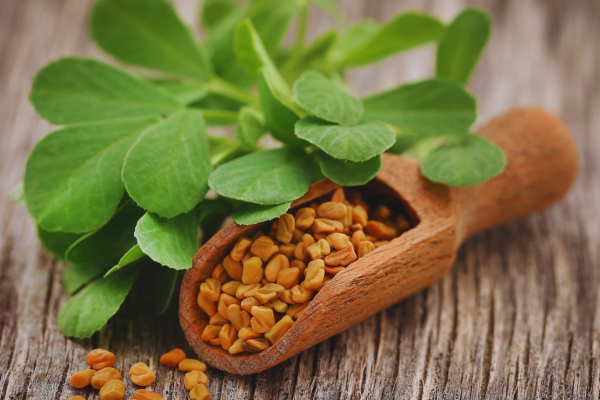 Health Benefits of Fenugreek - By Malsha - eLanka