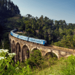 Sri Lanka: The Island Paradise You Need to Explore - By Malsha - eLanka