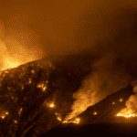 Forest fires