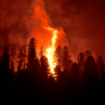 Relief for victims of Los Angeles Fires Please call SLAASC Committee Members Refuge at Sri Lankan homes and some Buddhist Temples food and clothing