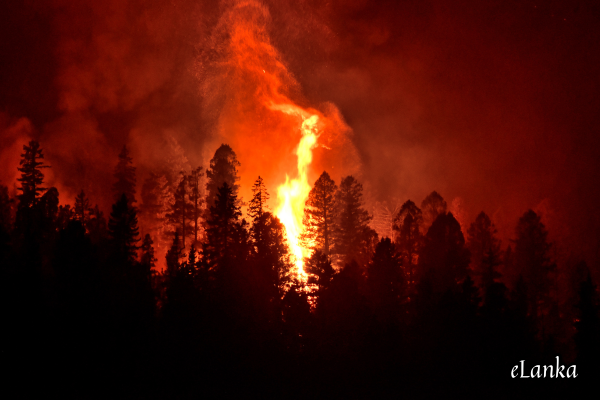 Relief for victims of Los Angeles Fires Please call SLAASC Committee Members Refuge at Sri Lankan homes and some Buddhist Temples food and clothing