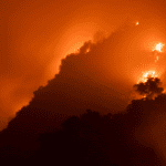 wildfires