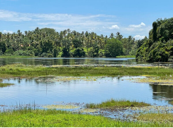 80 perch land for Sale in Malwana, Dompe, Sri Lanka