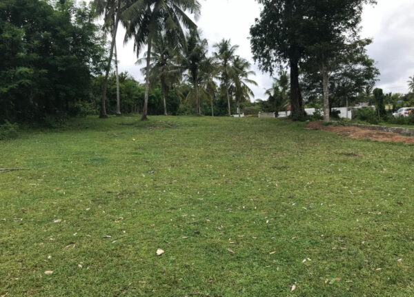  80 perch land for Sale in Malwana, Dompe, Sri Lanka