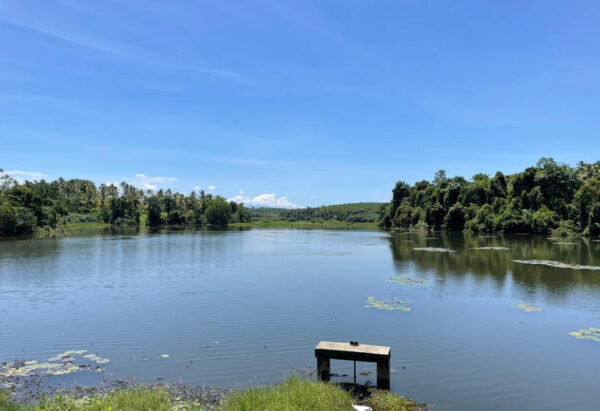 80 perch land for Sale in Malwana, Dompe, Sri Lanka
