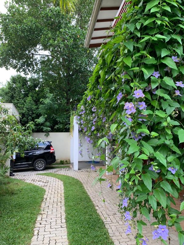 Luxury 4-Bedroom House for Sale in Thalangama | Spacious Home with Modern Amenities & Garden