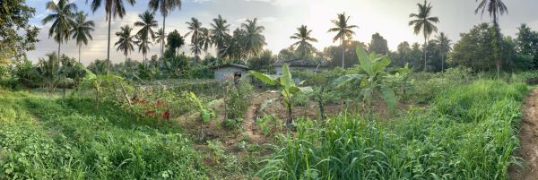Land for sale in karagala - Gampaha district2