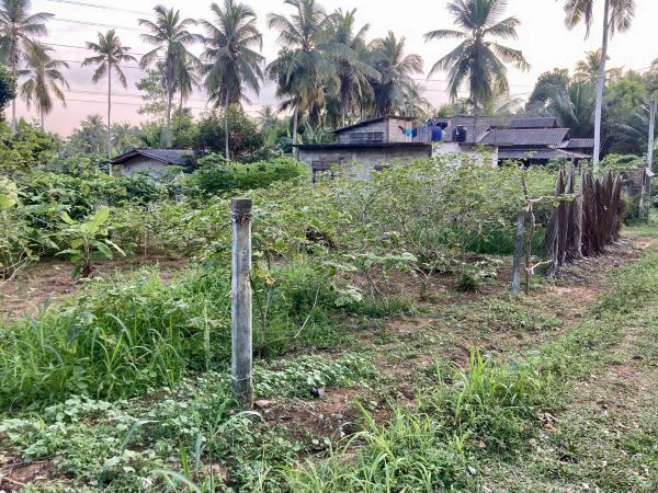 Land for sale in karagala - Gampaha district2