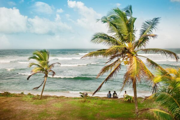 Migration Scams Rampant in Sri Lanka-eLanka