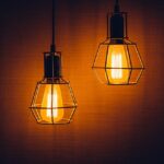 Nationwide power outage in Sri Lanka , Sri Lanka , monkey blamed in Sri Lanka