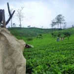 Most Amazing Places in Sri Lanka 02