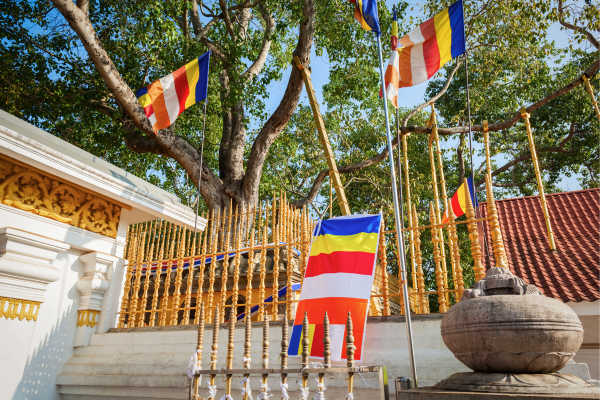 jaya Sri Maha Bodhi