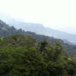 Knuckles Mountain Range-eLanka