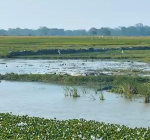 Lahugala National Park