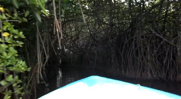 Madu River