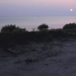 Mannar Unbound-eLanka