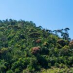 Horton Plains National Park