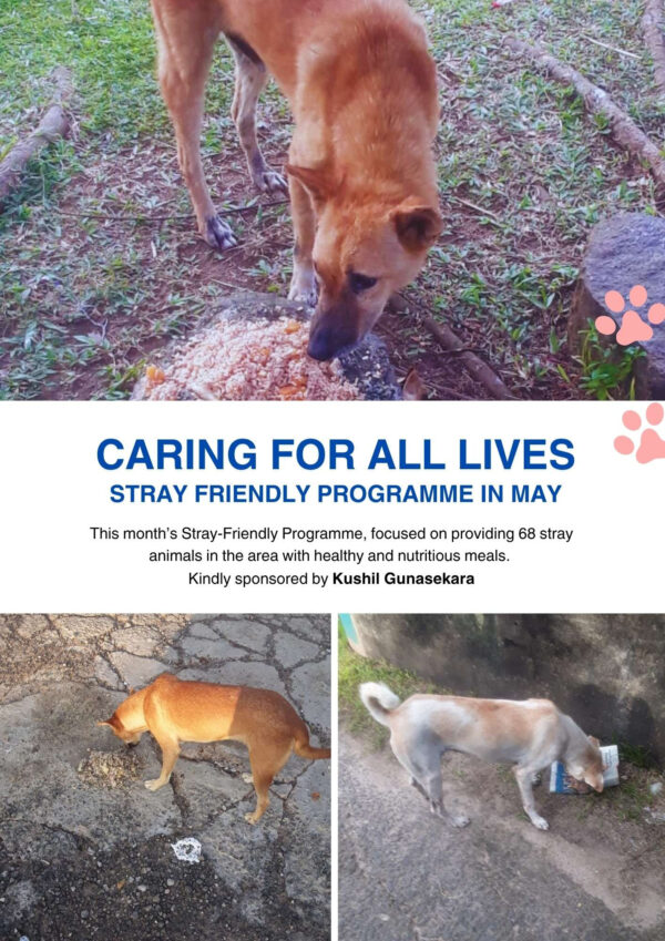 Foundation of Goodness Newsletter - May 2025 15