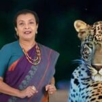 Kaleidoscope 273 , Black Leopard, Port City, Viet Nam + Coffee, Wine Tasters, Kaleidoscope with Savithri Rodrigo