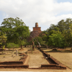 Protecting Human Heritage: Sri Lanka’s Buddhist Culture - By Dr. Asoka Bandarage