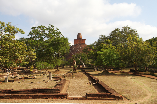 Protecting Human Heritage: Sri Lanka’s Buddhist Culture - By Dr. Asoka Bandarage