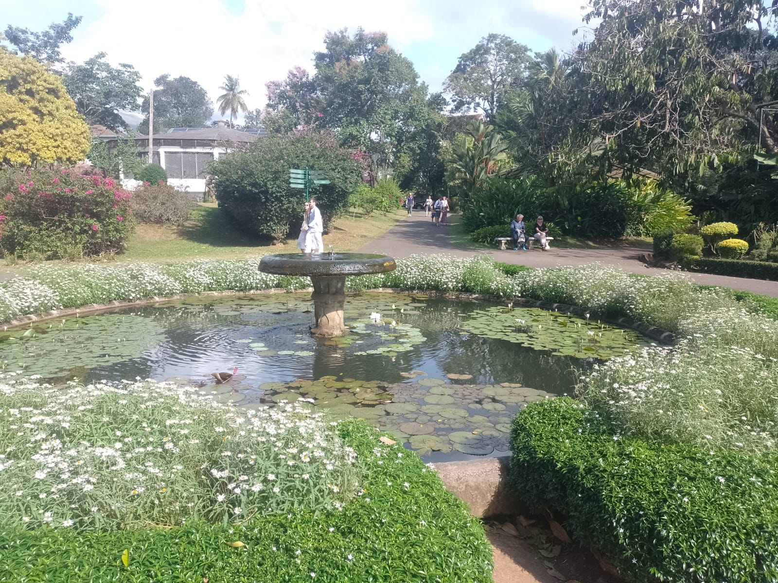 ROYAL BOTANICAL GARDENS – PERADENIYA SRI LANKA (1)