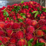 Rambutan