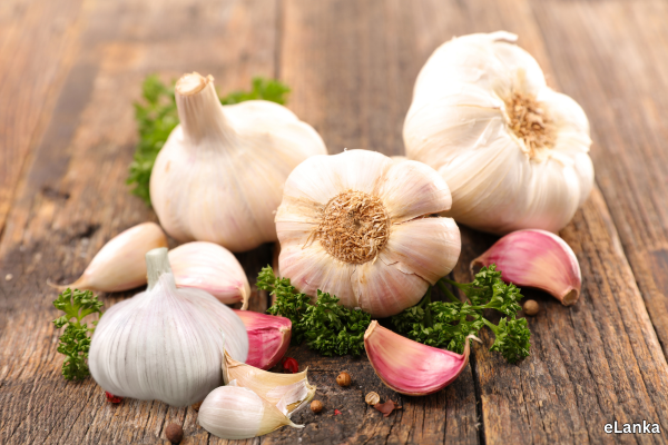 Top Benefits of Garlic