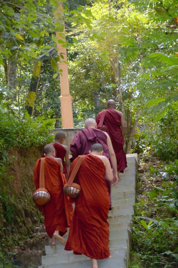VAJIRARAMA BUDDHIST MEDITATION CENTRE (FOREST SOLITUDE) – KANDY, SRI LANKA